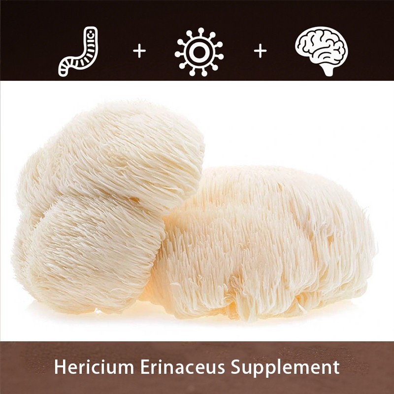 Lion's Mane Capsules - Focus Support Supplement