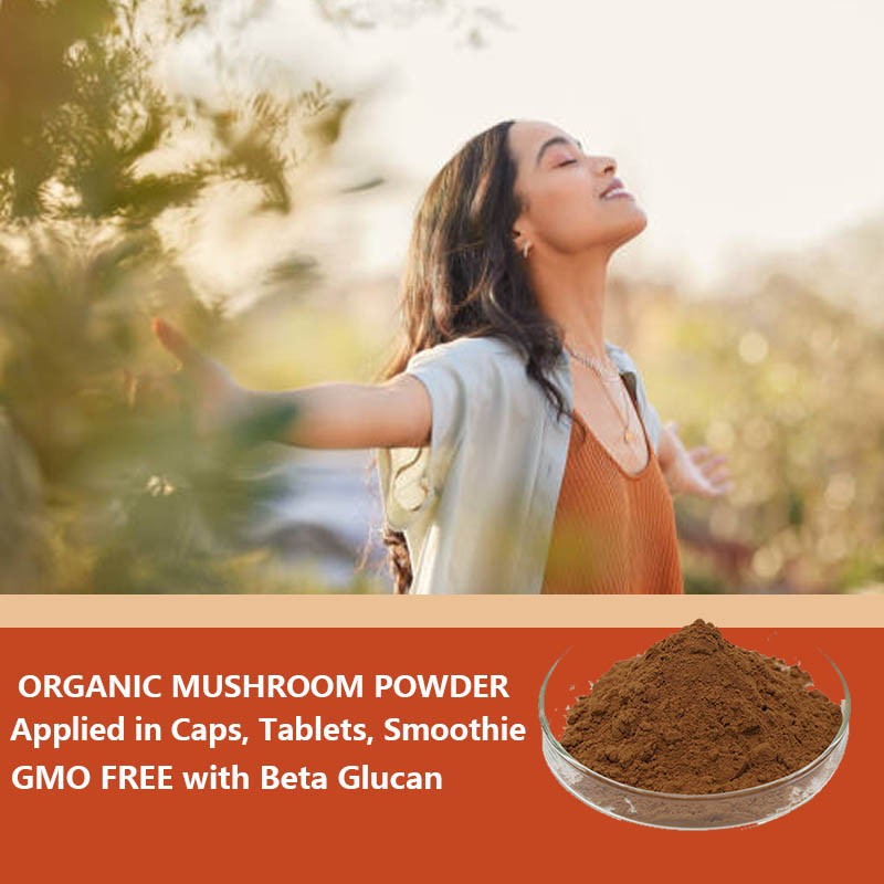 Mushroom Extract Powder - Functional Blend Supplement