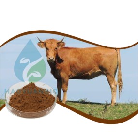 Beef Gall Powder - Grass Fed Organ Supplement