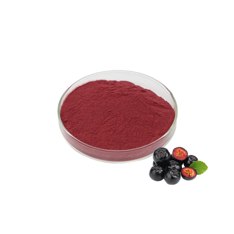 Aronia Berry Powder - Natural Fruit Juice Extract