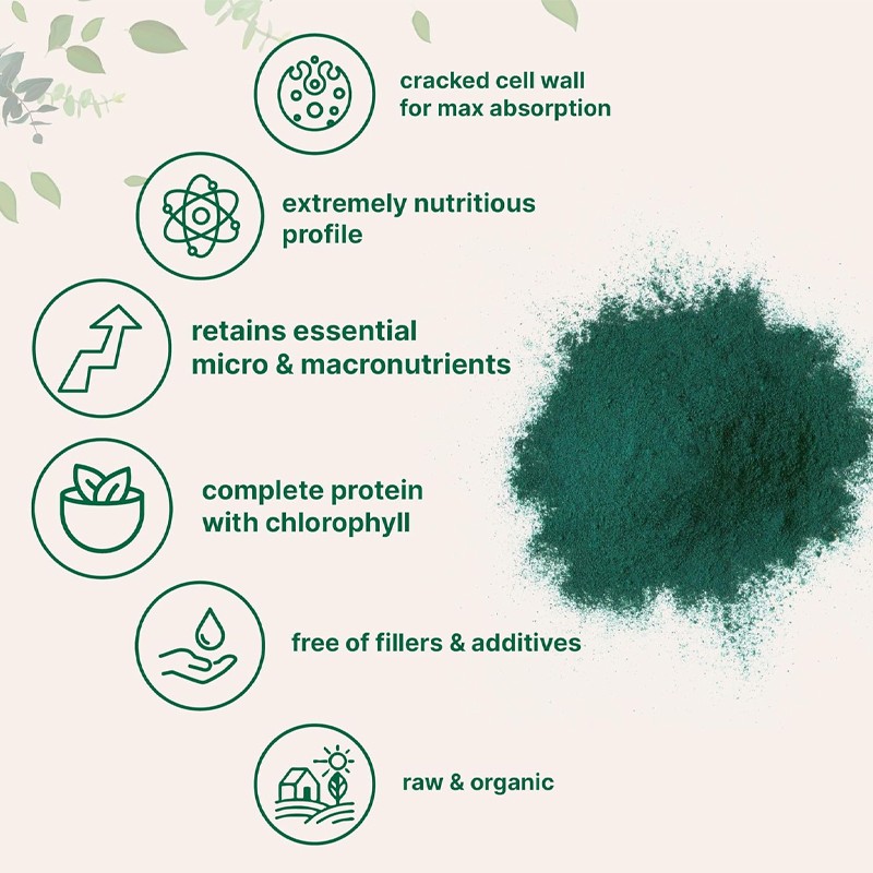 Chlorella Powder - Organic High Protein Food Grade