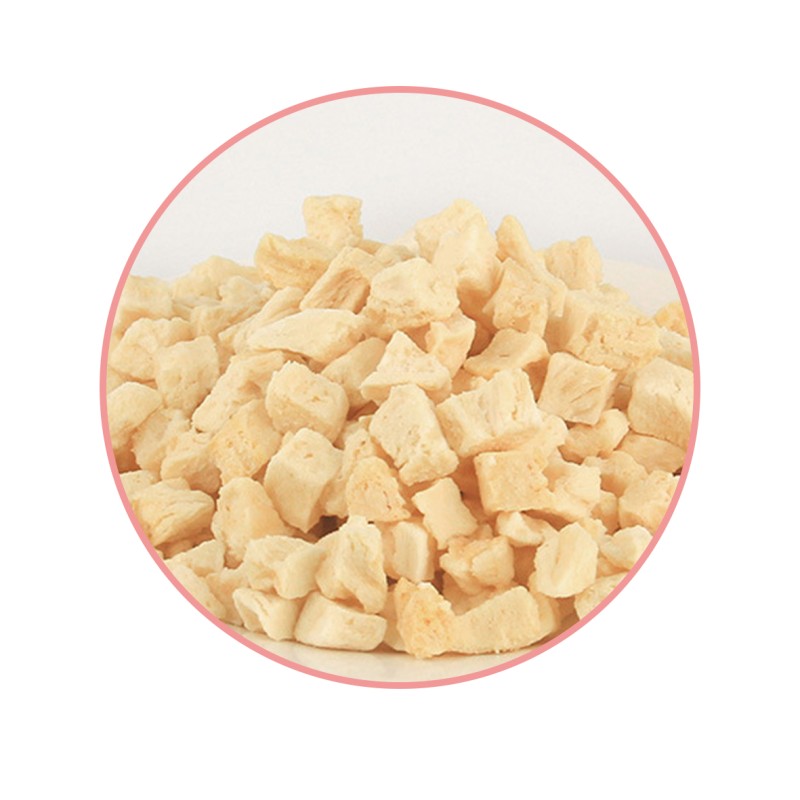 Freeze Dried Pineapple - OEM Fruit Slices
