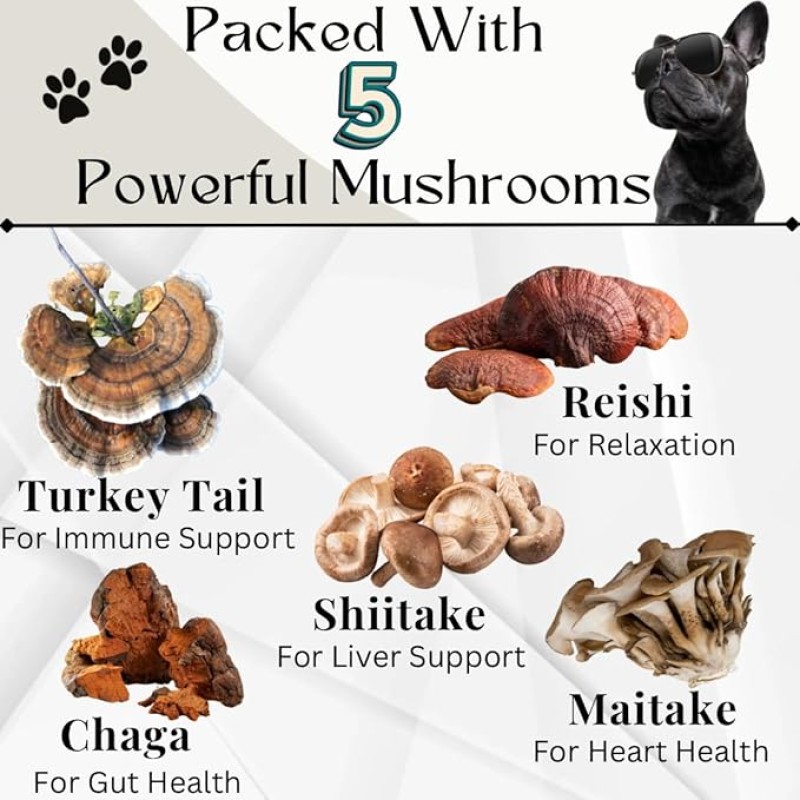 Mushroom Blend Pet Supplement - Organic Immune Support
