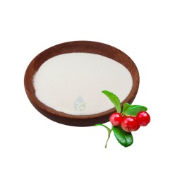 Alpha Arbutin Powder - 99% Skin Whitening Extract