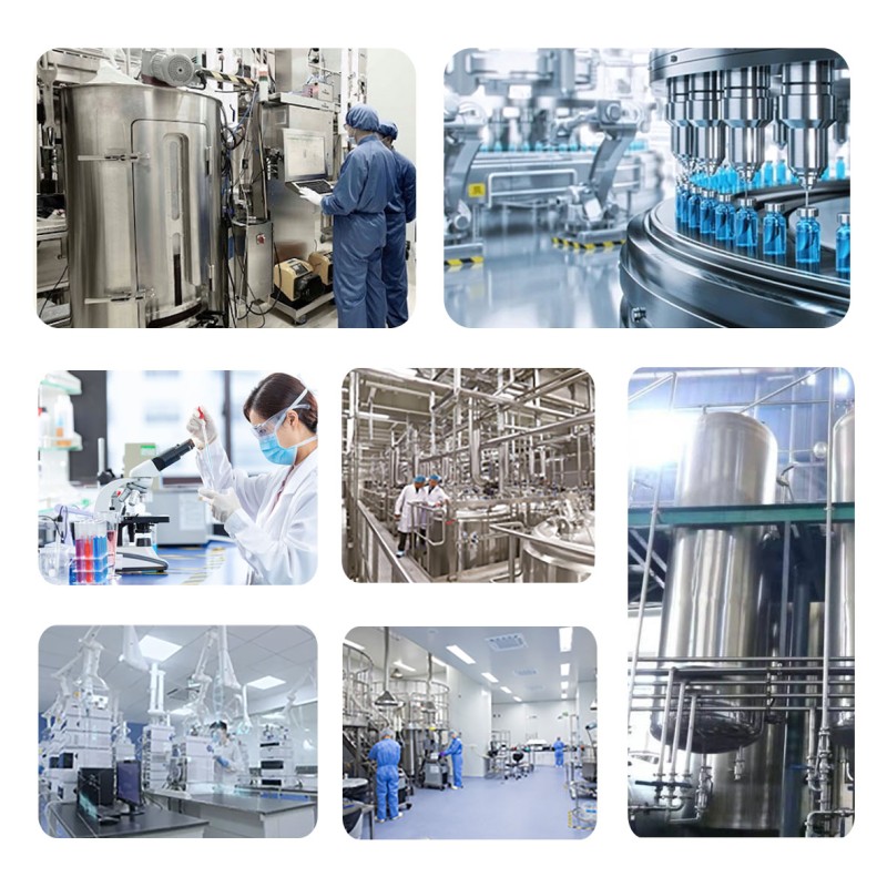 Carrageenan Powder - Food Grade Jelly Additive