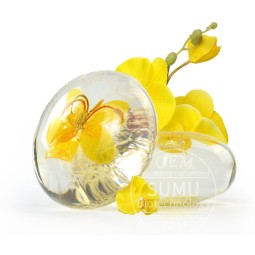 Amino Acid Soap Manufacturer - Hot Selling Flower Transparent Soap