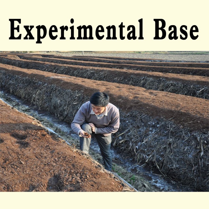 Bacteria to Compost Animal Manure/organic Waste/sludge/cow Dung