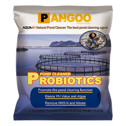Well Manufacture Feed Additive Probiotics for Fish Shrimps Shells