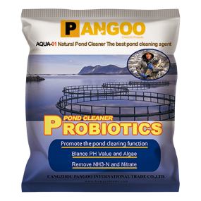 Well Manufacture Feed Additive Probiotics for Fish Shrimps Shells