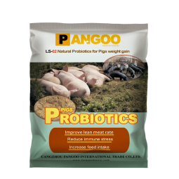 Best Probiotics for Pigs Swine Piglets China Supplier Fast Delivery