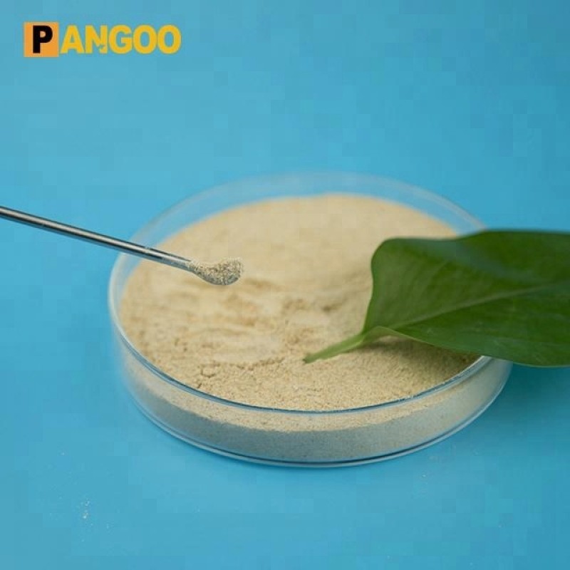 Bacillus Megaterium High Quality