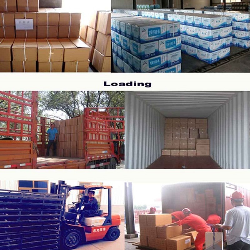 Best Probiotics for Pigs Swine Piglets China Supplier Fast Delivery