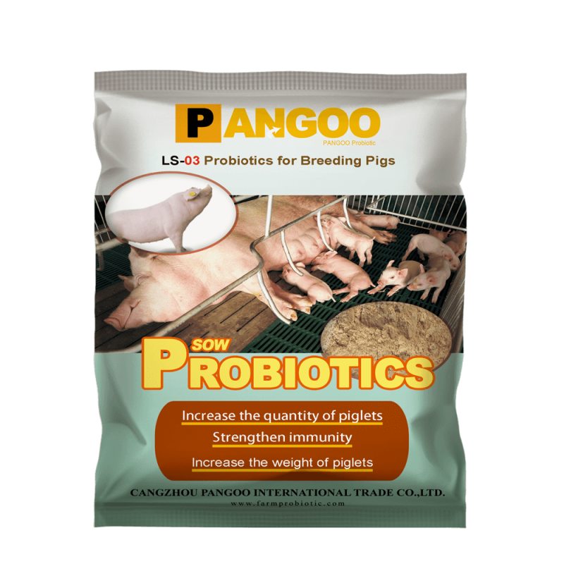 Best Probiotics for Pigs Swine Piglets China Supplier Fast Delivery
