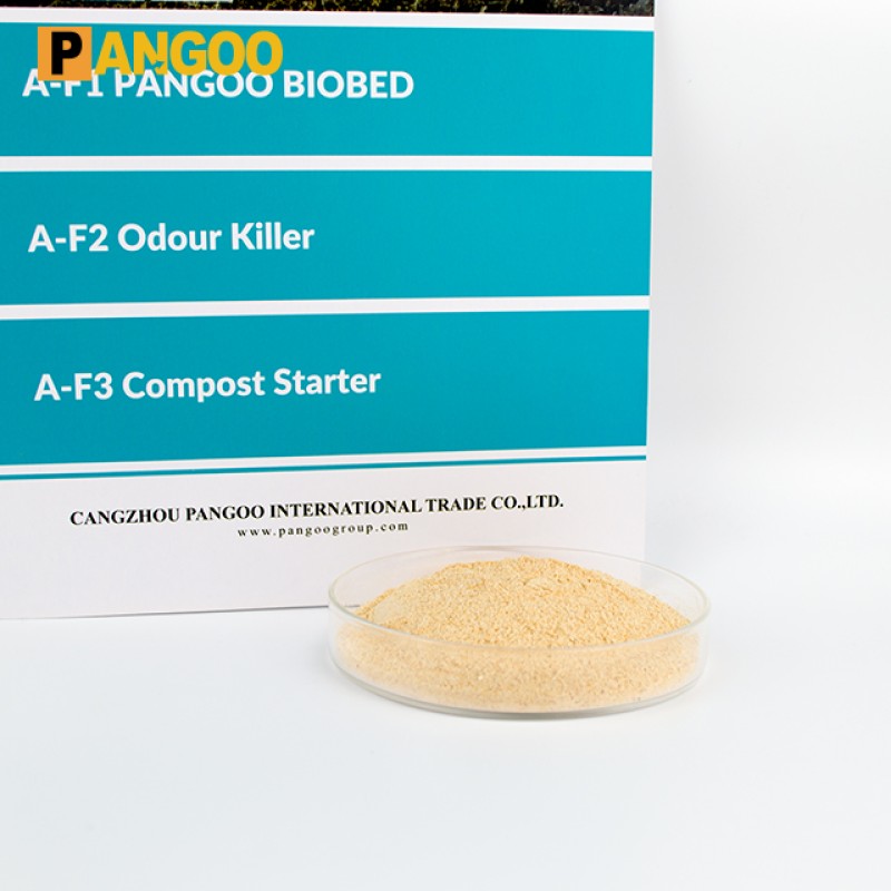 Reduces Feed Costs PANGOO BIOBED Probiotic