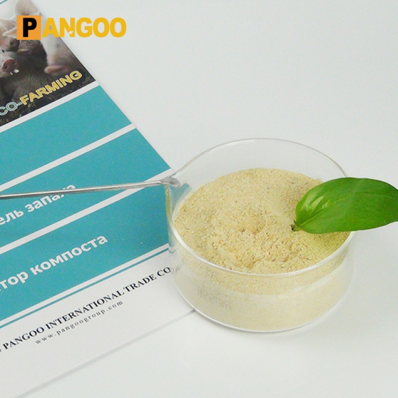 High Quality Alcohol Yeast