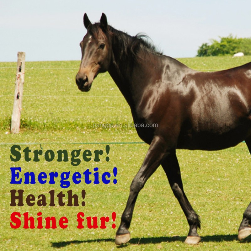 Probiotics Bacillus Subtilis/Bacillus Licheniformis for Poultry