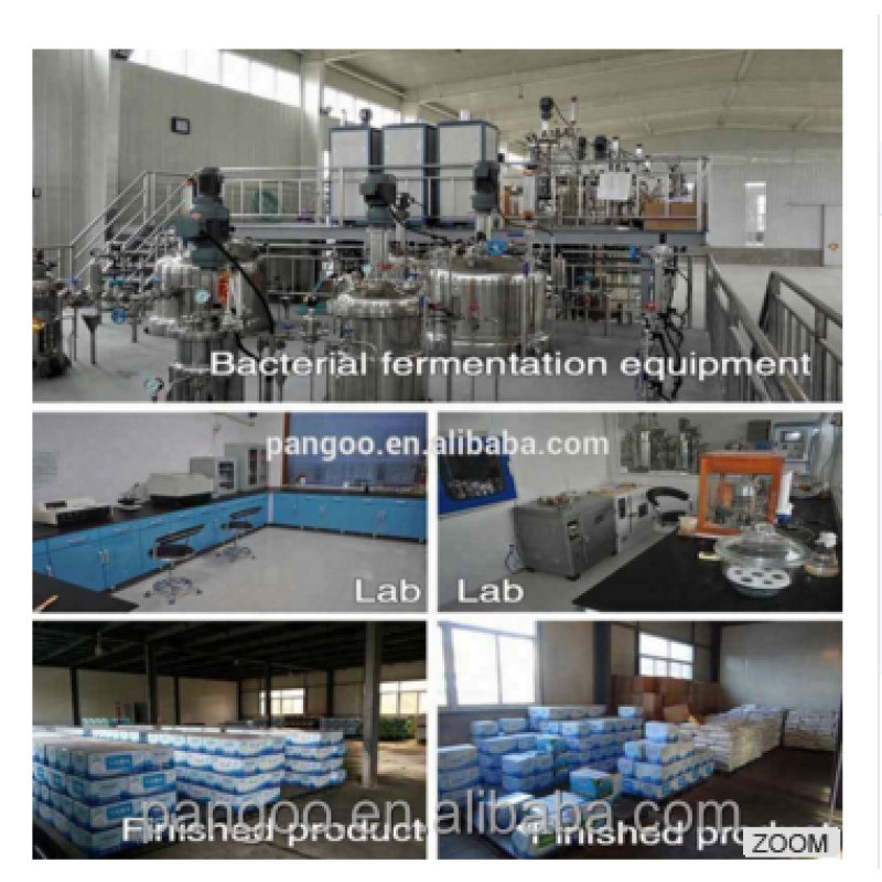 benefit Bacteria for Animal Raising on Fermentation Bed China