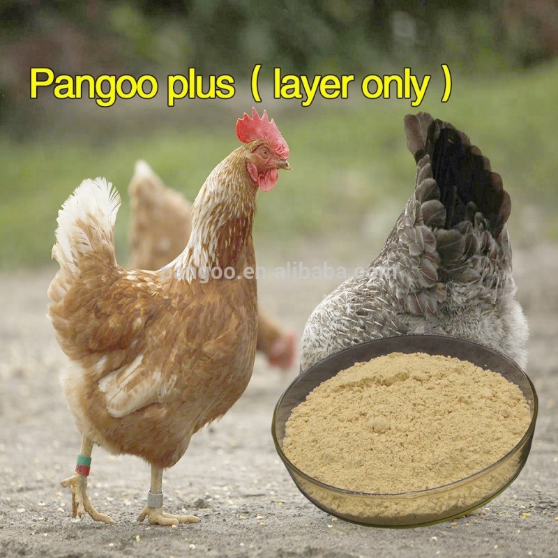 Pangoo  Probiotics for Animals to Promote Growth