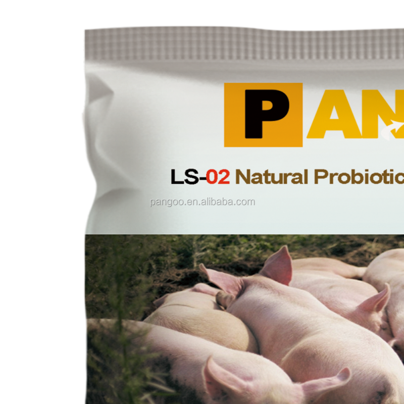 PANGOO BIOBED Improve Feed Efficiency for Piglet, Pig, Sow Use Bacteria
