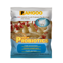 New Arrival High Quality Nice Price Best Selling Probiotics for Poultry Layers Chicken