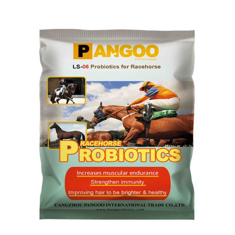 Factory Price Feed Additive Probiotics for Horses China Supplier