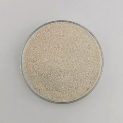 High quality lysine l lysine suppliers