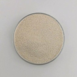 High quality lysine feed grade lowest price