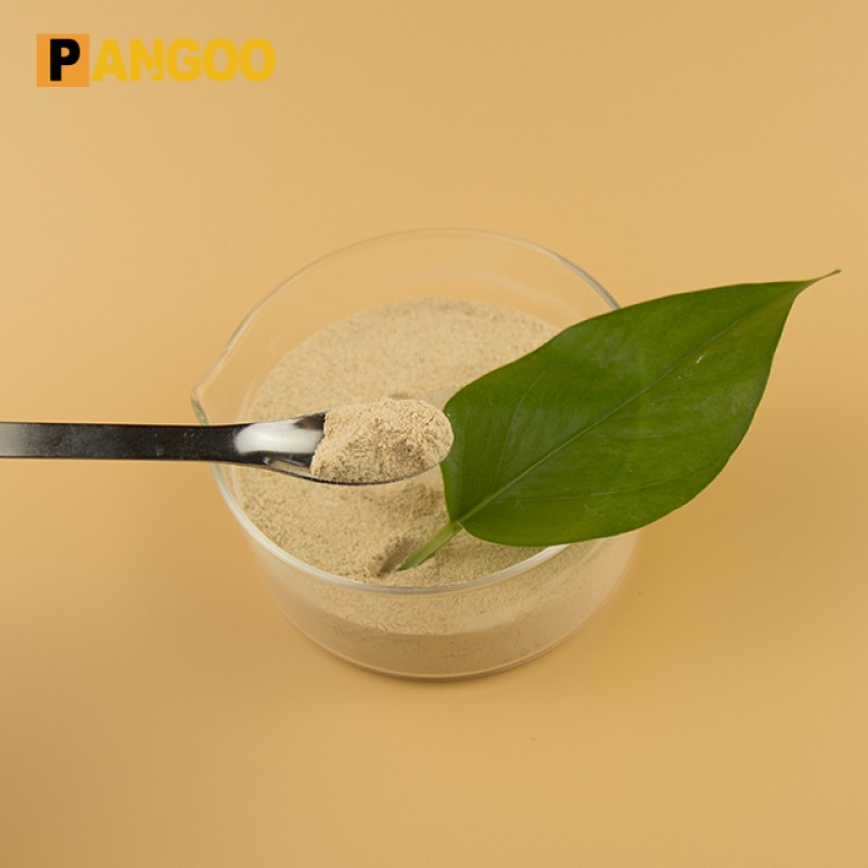 China Supply Bacillus Coagulans, Lactic Acid-forming Bacillus Bacteria With High Quality