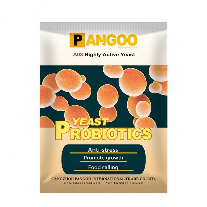 Top highly active yeast probiotics lowest price