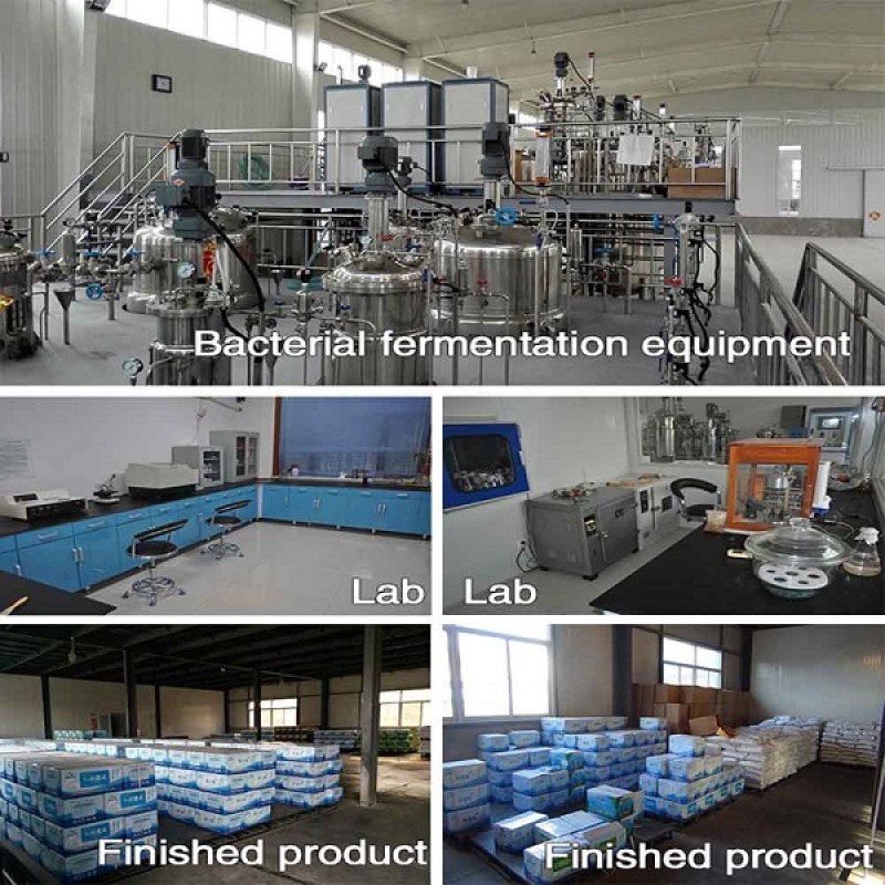 Best Probiotics for Pigs Swine Piglets China Supplier Fast Delivery