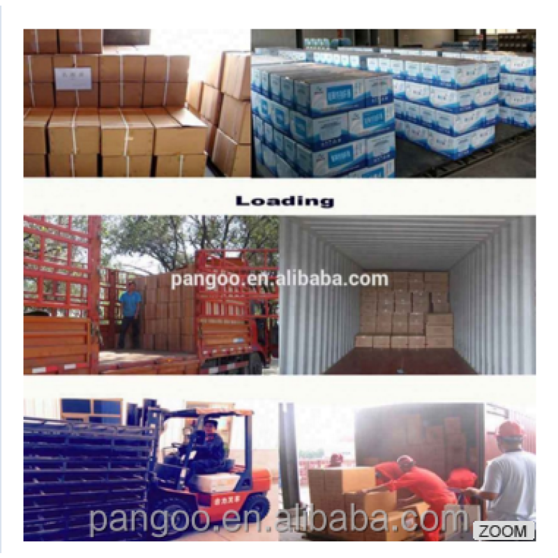 Feed Grade Beneficial Bacteria for Pig, Chick, Duck, Sheep, Fermentation Bed High QualityOf Laying Hens, Feed Additives