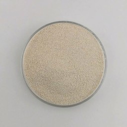 High quality 25kg l lysine factory