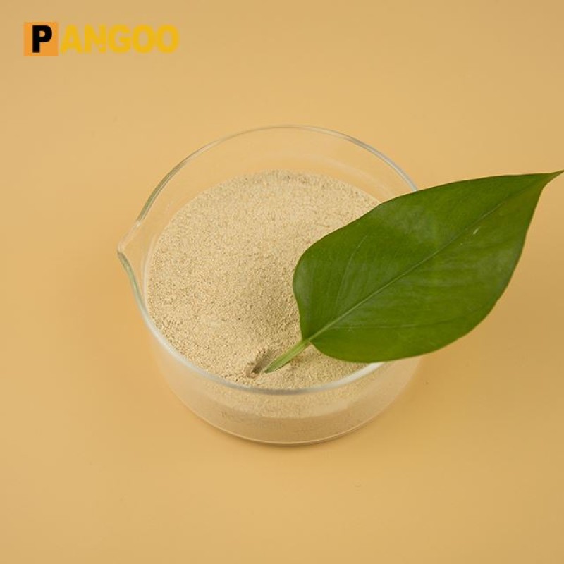Cheap NSP Enzyme Plus Manufacturer