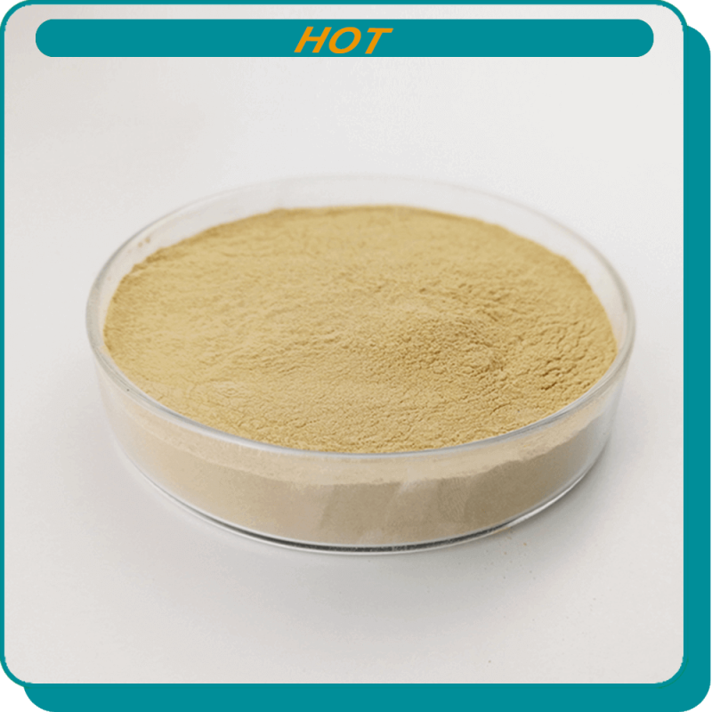 High protein feed yeast price lowest price