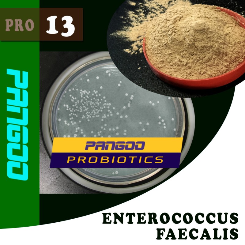 PANGOO PRO-15 PHOTOSYNTHETIC BACTERIA (PSB) FEED PROBIOTICS