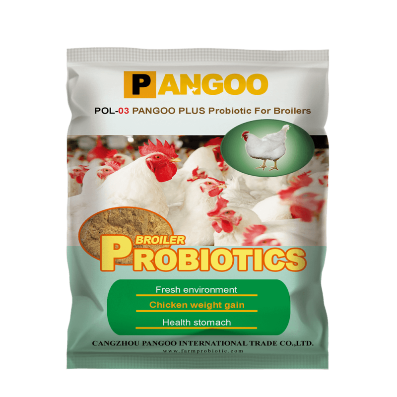 Poultry Chicks Perfect Food Feed Additive China Supplier With Nice Price