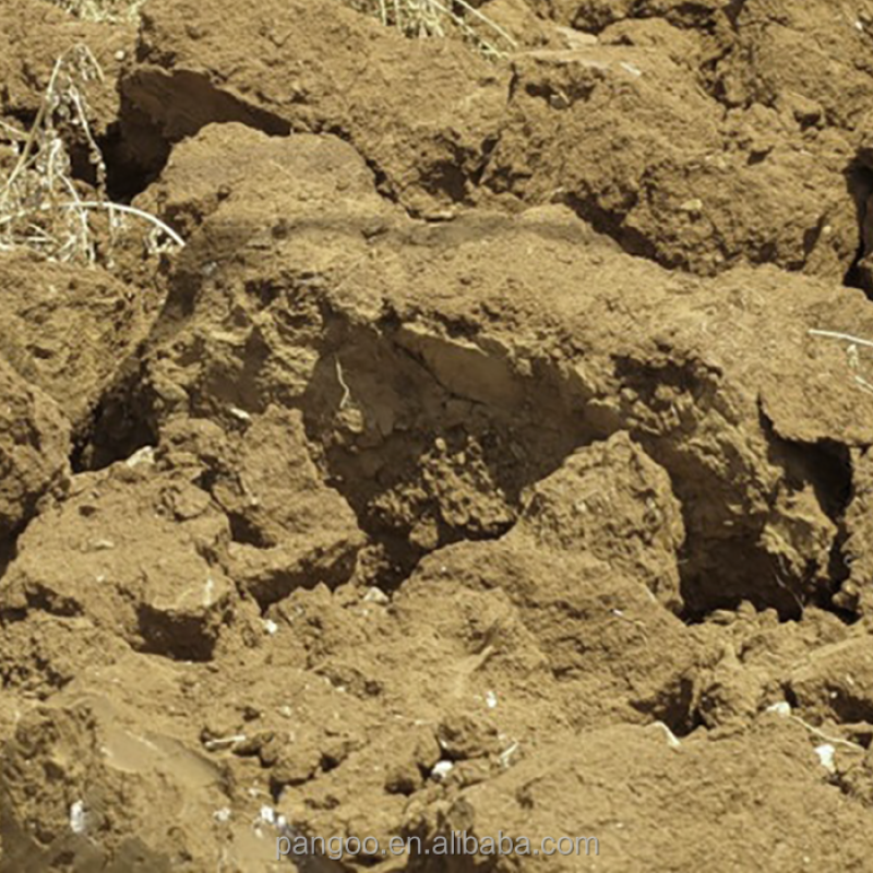 Bio Fertilizer / Plant Probiotics / Soil Microbiology