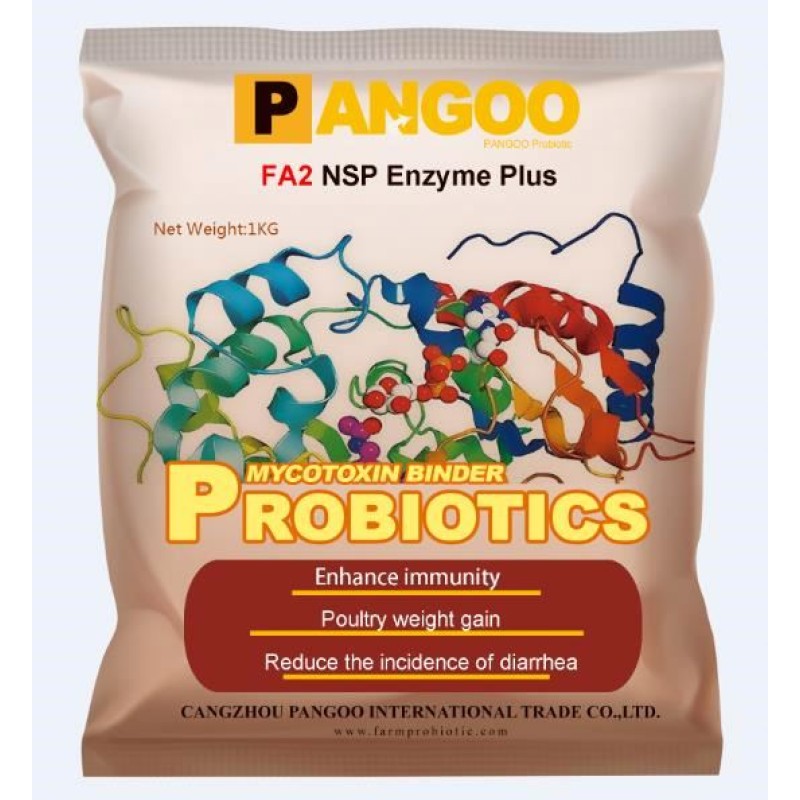 Cheap NSP Enzyme Plus Manufacturer