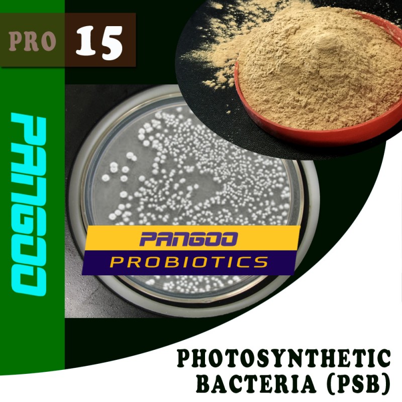 PANGOO PRO-15 PHOTOSYNTHETIC BACTERIA (PSB) FEED PROBIOTICS