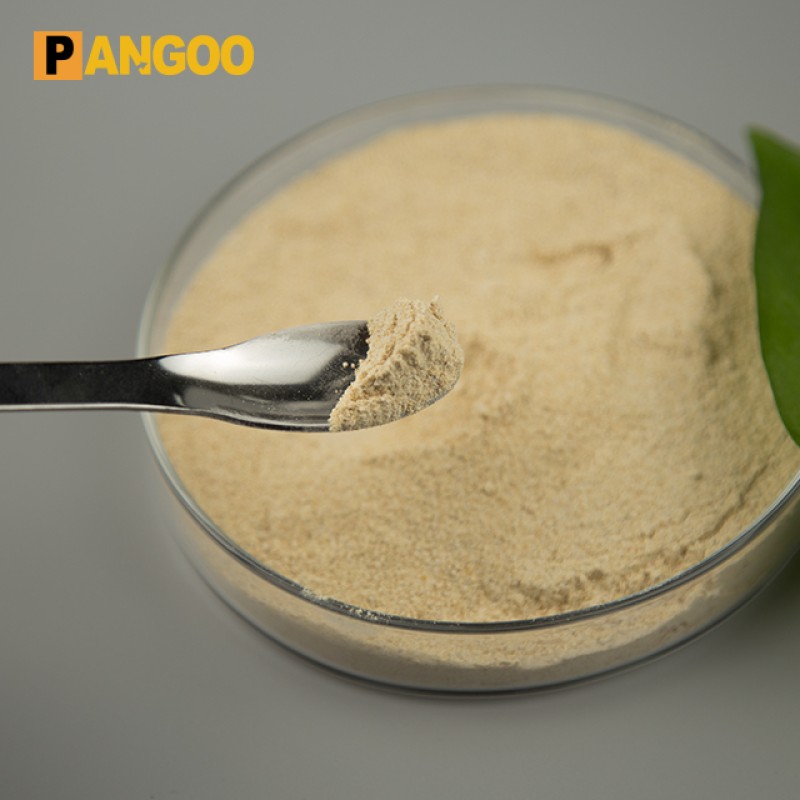High Quality Aquaculture Bacillus Subtilis Probiotic Powder Poultry Feed