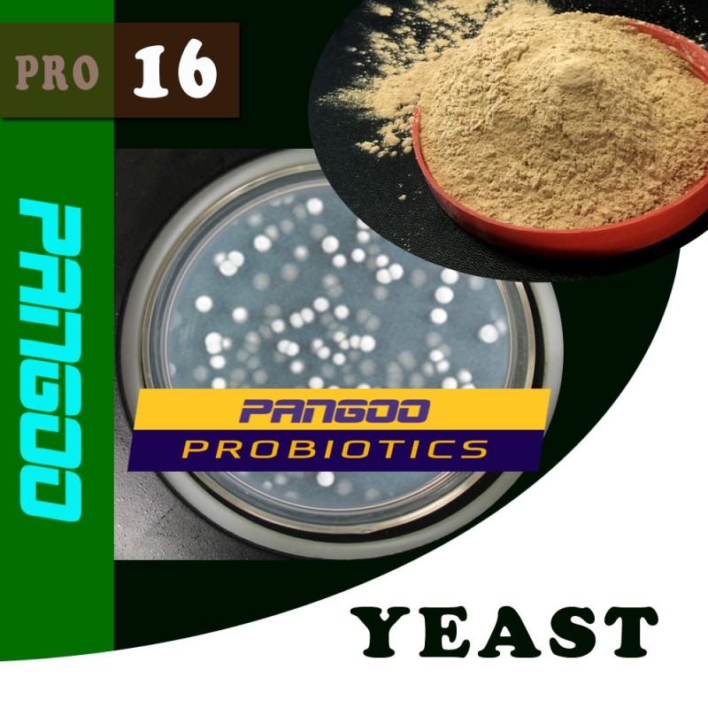 PANGOO PRO-15 PHOTOSYNTHETIC BACTERIA (PSB) FEED PROBIOTICS