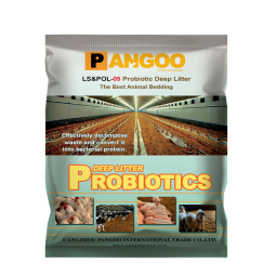 Feed Grade Beneficial Bacteria for Pig, Chick, Duck, Sheep, Fermentation Bed High QualityOf Laying Hens, Feed Additives