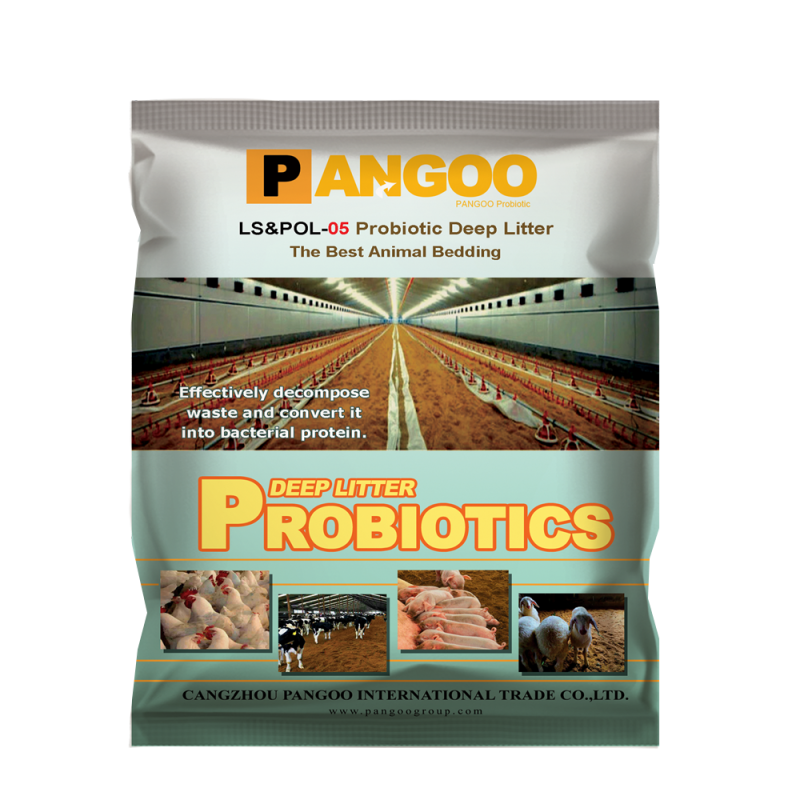 Feed Grade Beneficial Bacteria for Pig, Chick, Duck, Sheep, Fermentation Bed High QualityOf Laying Hens, Feed Additives