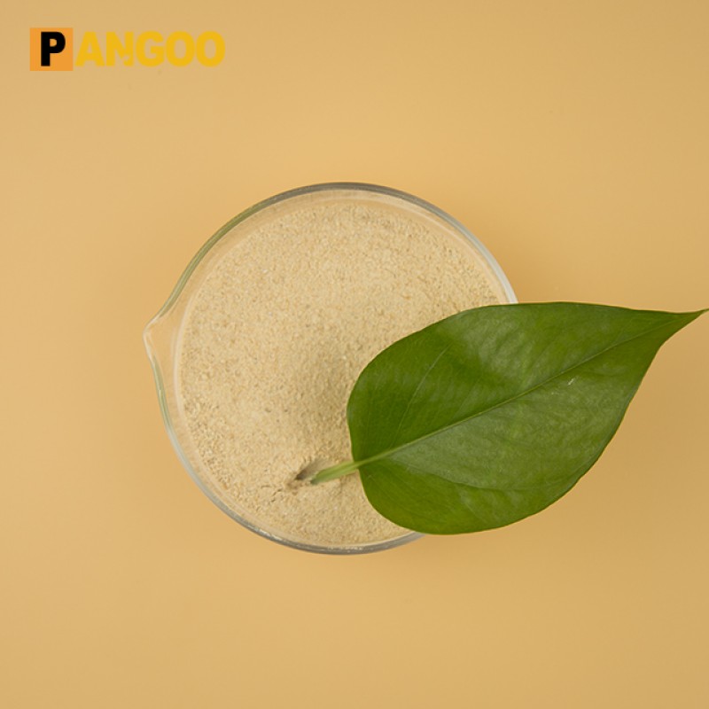 Pangoo supply yeast probiotics extract factory price