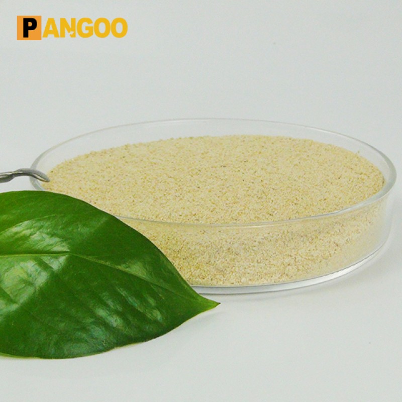 High Quality Nitrifying Bacteria for Aquarium