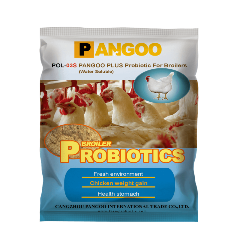 Poultry Chicks Perfect Food Feed Additive China Supplier With Nice Price