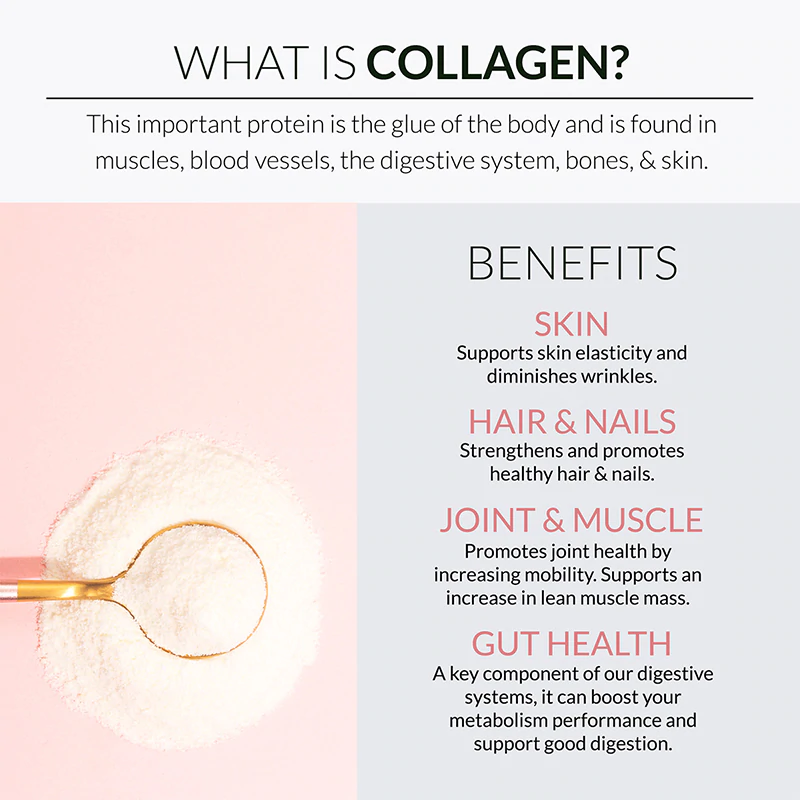 Collagen Protein Powder - Chocolate Flavor Peptides
