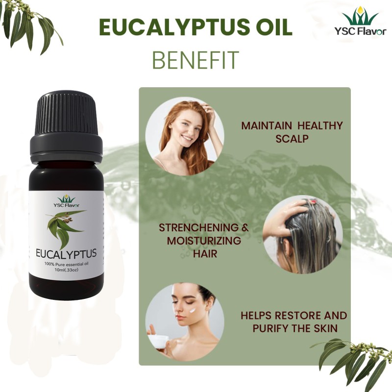 Aromatherapy Set - 12 Pack Synergy Blends