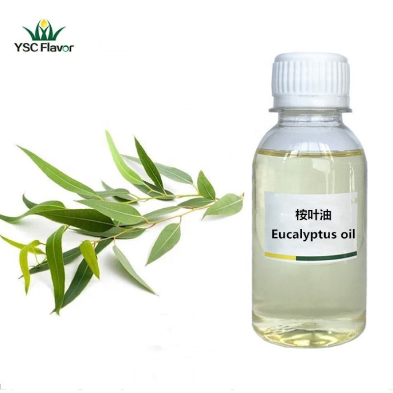 Eucalyptus Oil - Natural Air Freshener Aromatherapy