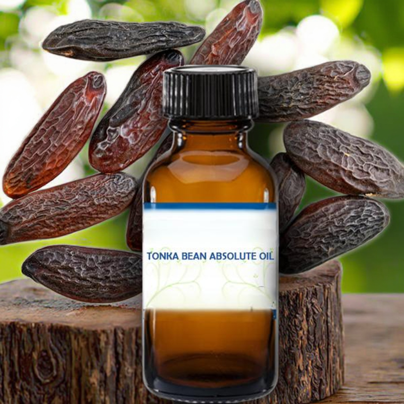 Tonka Bean Oil - 100% Pure Absolute Essential